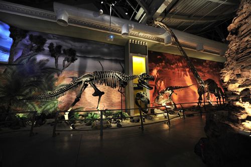 Dinozorlar Dünyasına Gezi